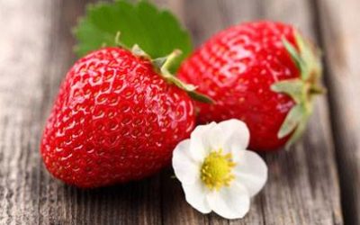 Fraises et légumes de saison Sart-Dames-Avelines