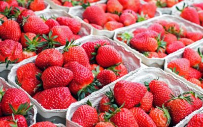 Ferme Druez (Fraises de la Ferme) à Villers-la-Ville