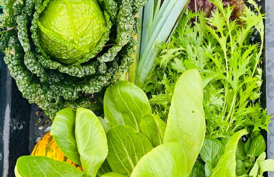 MicroBIO&rsquo;ttes à Frasnes-Lez-Gosselies