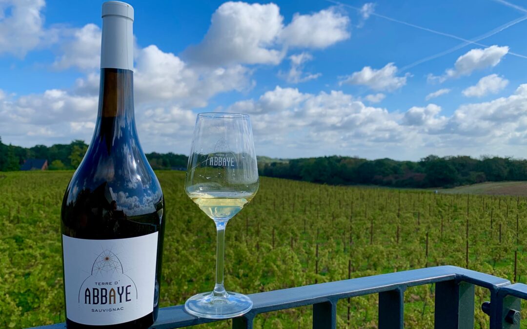 Vignoble Terre d&rsquo;Abbaye